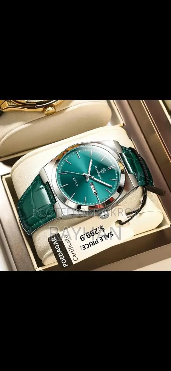 Poedagar Emerald Steel Elegance