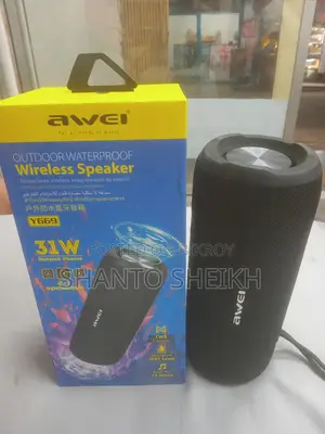 AWEI Y669 31W