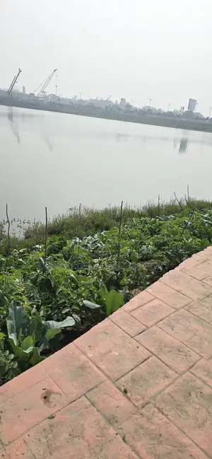 রাজউক পূর্বাচল লেক ভিউ ৭.৫ কাঠা প্লট বিক্রয়