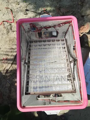 88 Egg Incubator for Sale - Holds 200 Quail Eggs, Full Auto AC/DC