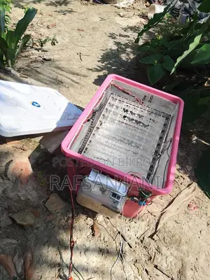 88 Egg Incubator for Sale - Holds 200 Quail Eggs, Full Auto AC/DC