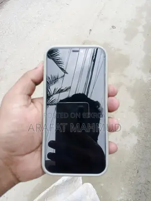 Apple iPhone 12 (Used)