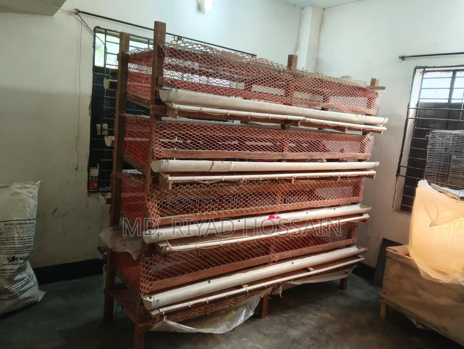 ৪০০ কোয়েল পাখির খাঁচা
