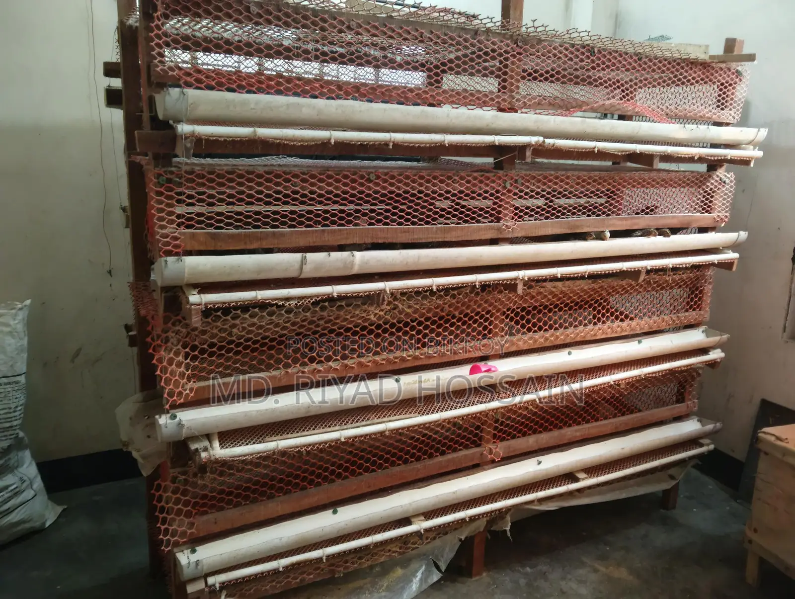 ৪০০ কোয়েল পাখির খাঁচা