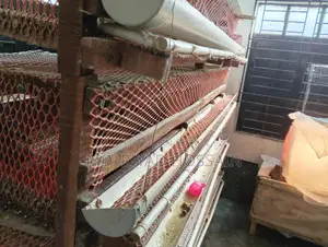 ৪০০ কোয়েল পাখির খাঁচা