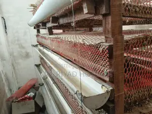৪০০ কোয়েল পাখির খাঁচা