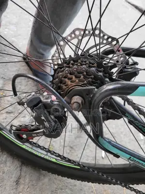 Duronto Cycle