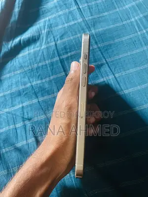 Apple iPhone 15 Pro Max (Used)
