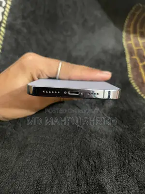 অ্যাপল আইফোন ১৩ প্রো ম্যাক্স . (ব্যবহৃত)