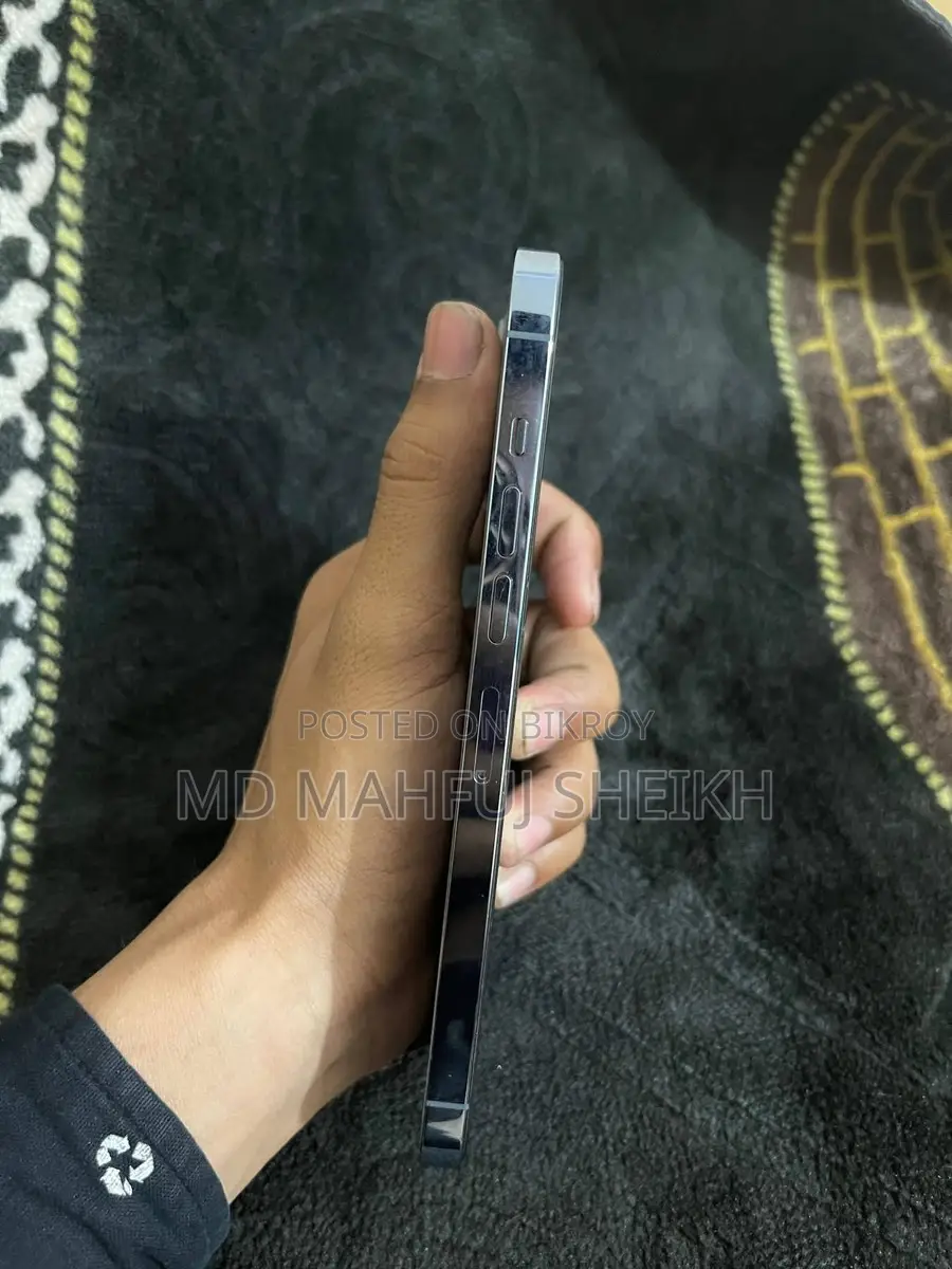 অ্যাপল আইফোন ১৩ প্রো ম্যাক্স . (ব্যবহৃত)