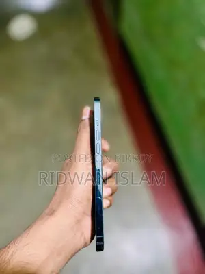 Apple iPhone 12 Pro Max (Used)