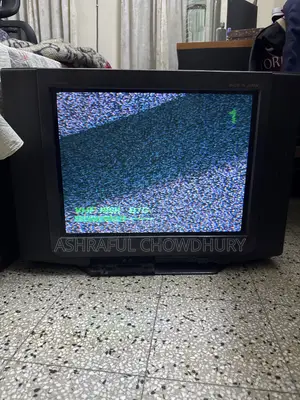 Sony Trinitron Color TV