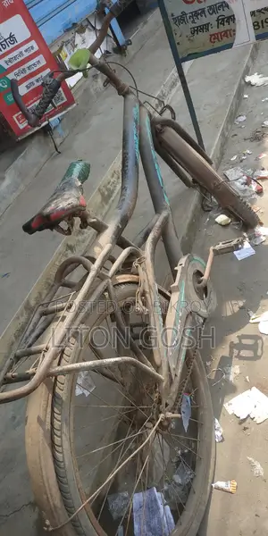 Meghna Company Normal Bicycle