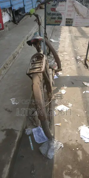 Meghna Company Normal Bicycle