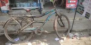 Meghna Company Normal Bicycle