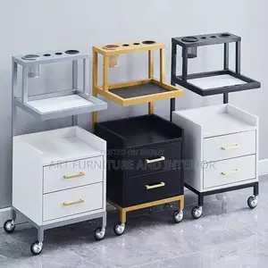 Beauty Parlor & Salon Multiple Drawer Self - 01