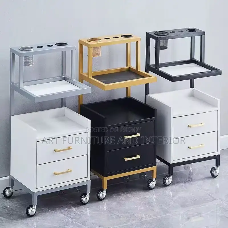 Beauty Parlor & Salon Multiple Drawer Self - 01
