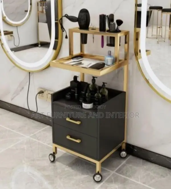 Beauty Parlor & Salon Multiple Drawer Self - 01