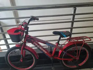 Phoenix Cycle 4.0 - 20 Size