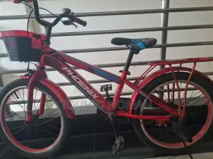 Phoenix Cycle 4.0 - 20 Size