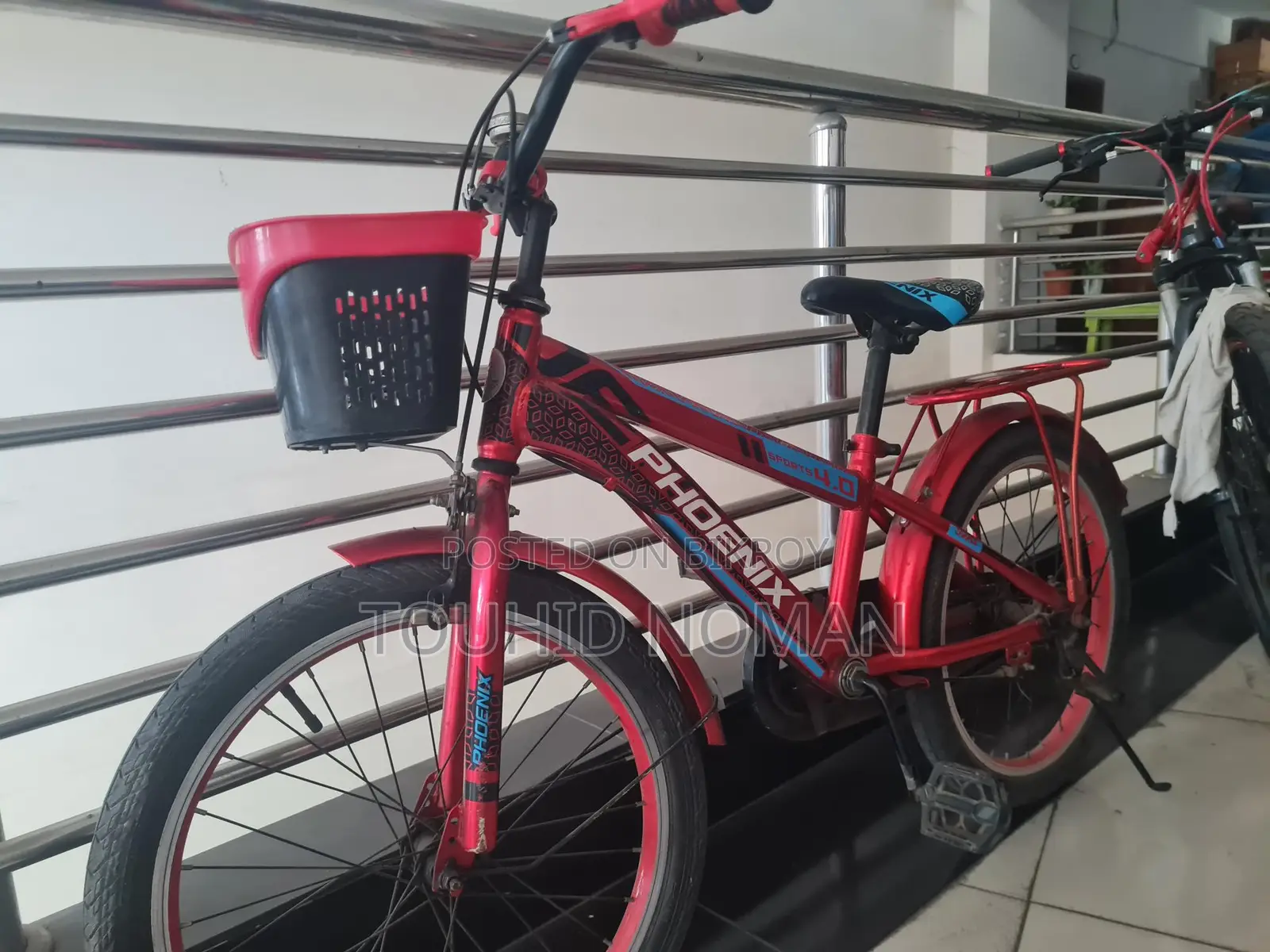 Phoenix Cycle 4.0 - 20 Size