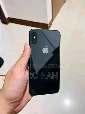 Apple iPhone X 256GB (Used)