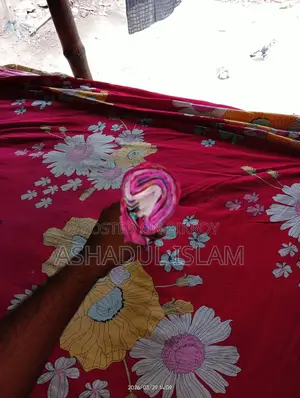 Decorative Colored Paper