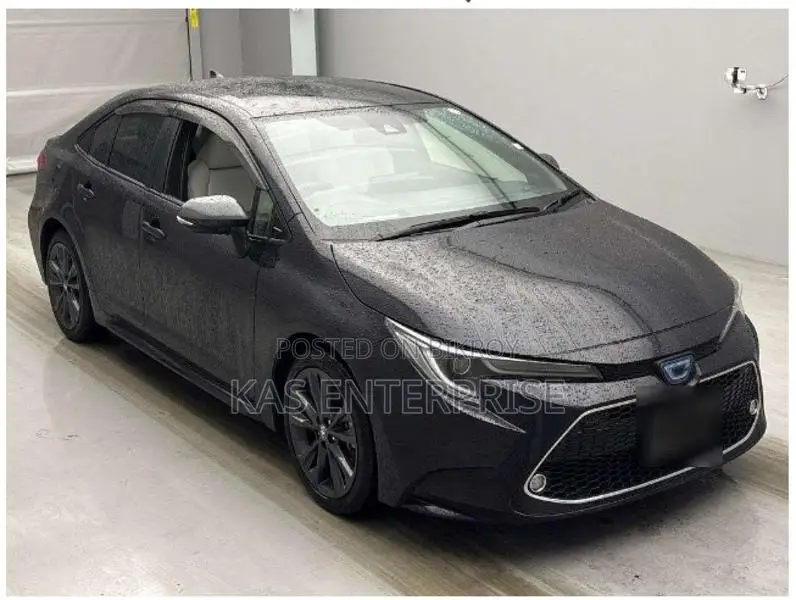 Toyota Corolla 2021 Purple