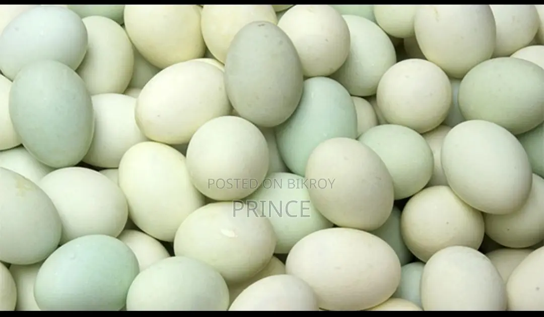 দেশি হাসের ডিম