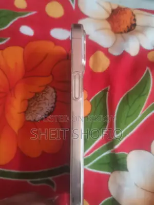 Apple iPhone 12 Pro Max (Used)
