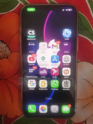 Apple iPhone 12 Pro Max (Used)