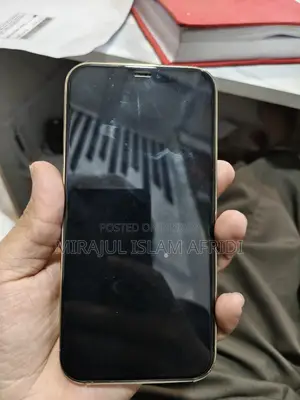 Apple iPhone 12 Pro (Used)