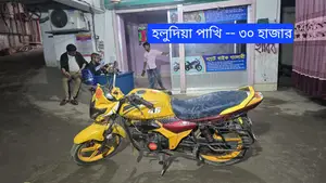 H Power Zaara 100 Super Fresh 2020