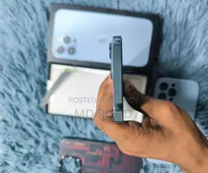 Apple iPhone 13 Pro Max (Used)