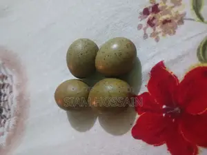 King Quail Eggs