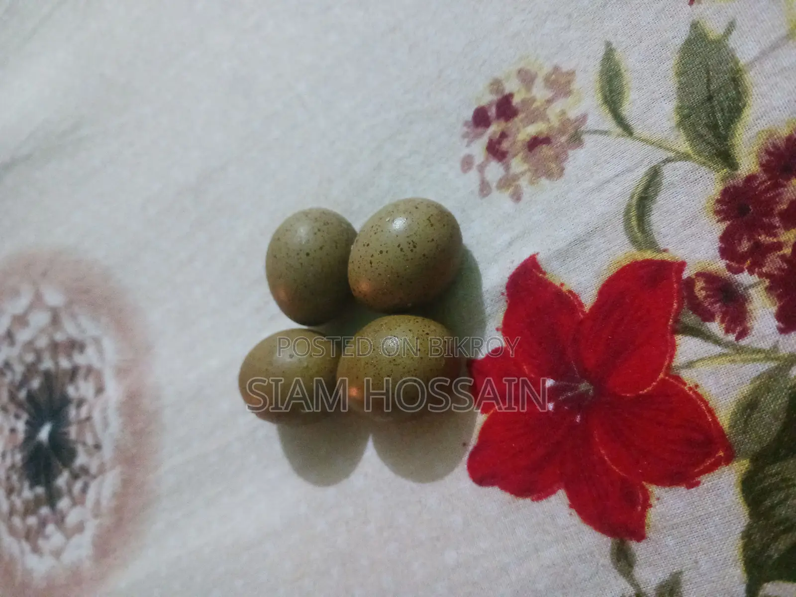 King Quail Eggs
