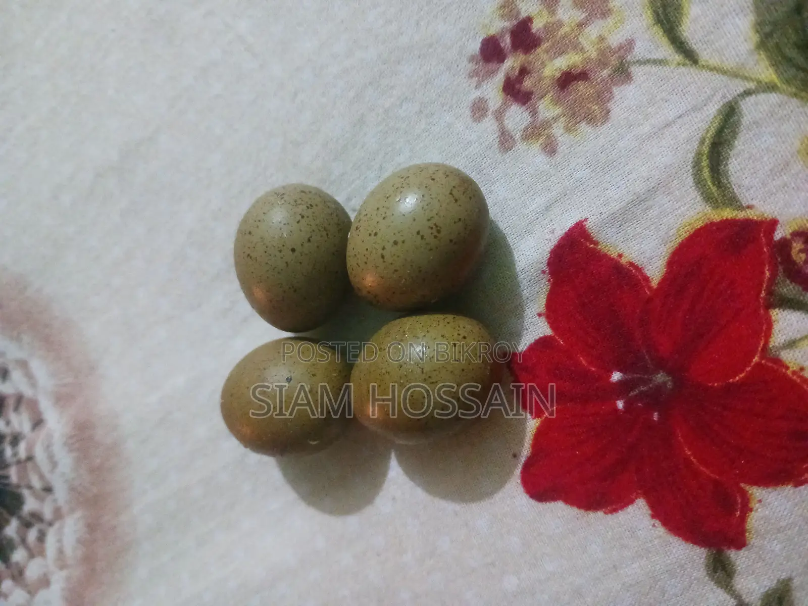 King Quail Eggs