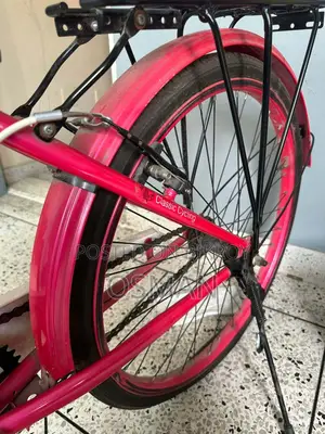 Girls' Bicycle