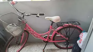 Girls' Bicycle