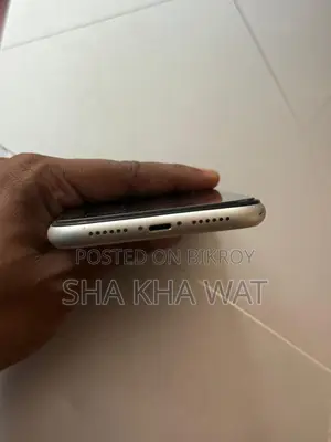 Apple iPhone 11 (Used)