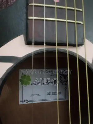 Insha Guitar No Problem, Fresh