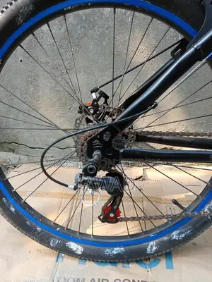 Phonex Cycle