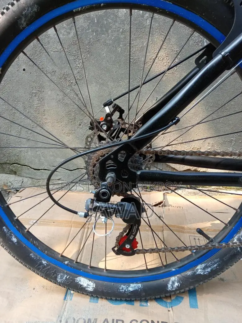 Phonex Cycle