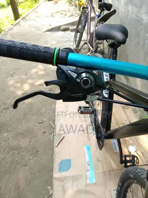 Phonex Cycle