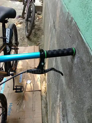 Phonex Cycle