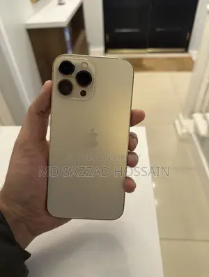 Apple iPhone 13 Pro Max (Used)