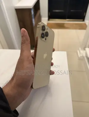 Apple iPhone 13 Pro Max (Used)