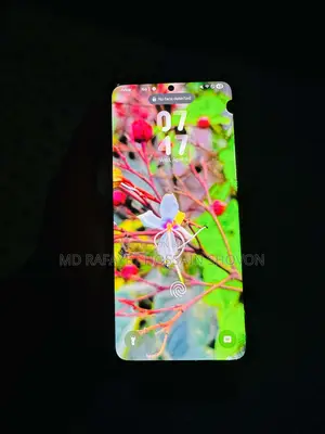 Samsung Galaxy S21 Ultra full fresh (Used)