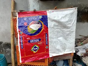 কবুতরের কোপ