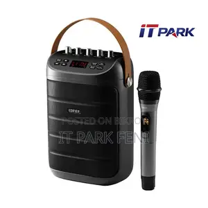 Edifier PK305 পোর্টেবল ব্লুটুথ গ্রে স্পিকার সাথে ওয়্যারলেস মাইক্রোফোন